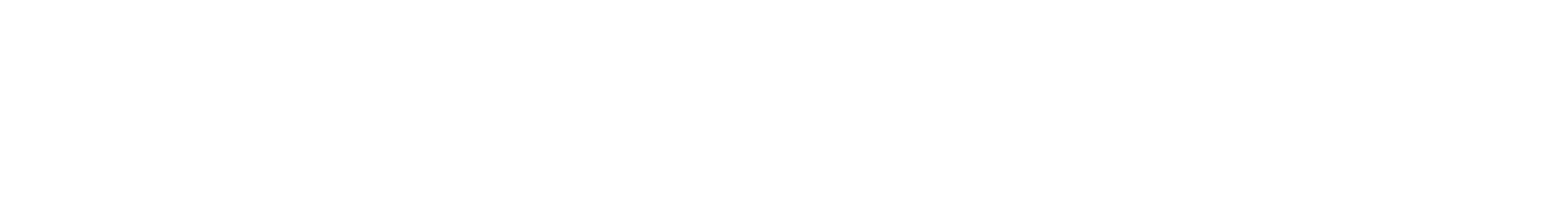Li Auto